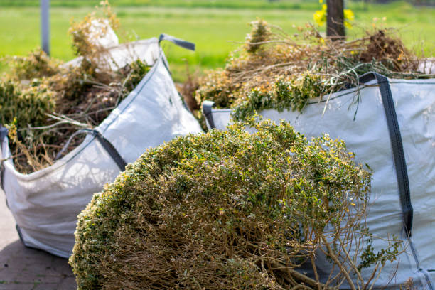 Best Mattress Disposal  in Paris, IL
